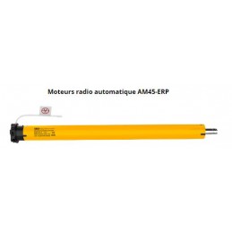 MOTEUR RADIO AOK -30Nm AOKAR0095Moteur RADIOAOK